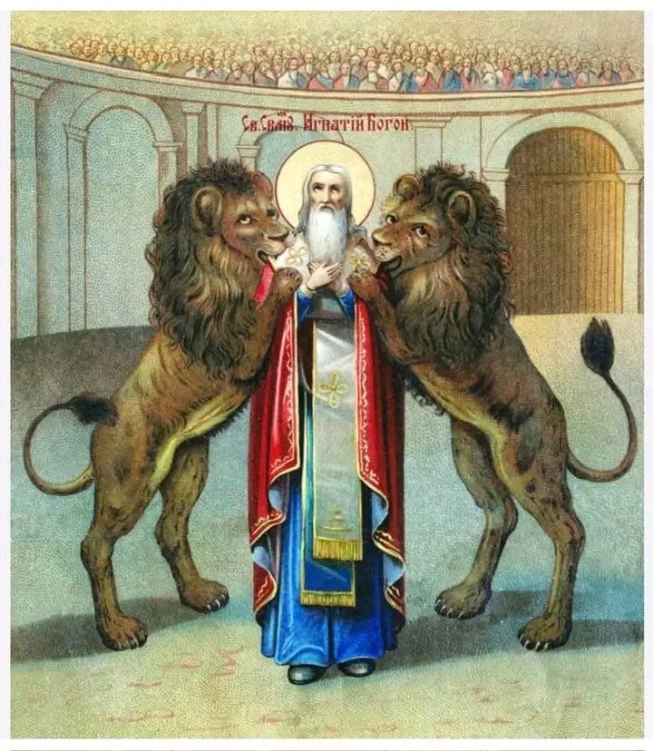 ቅዱስ አግናጥዮስ ምጥው ለአንበሳ